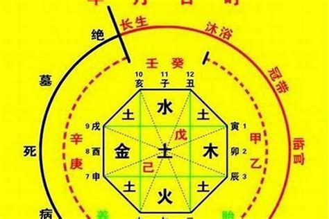 八字 十神 查詢|靈匣網生辰八字線上排盤系統